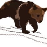 Advice on surviving the bear market in BTC
